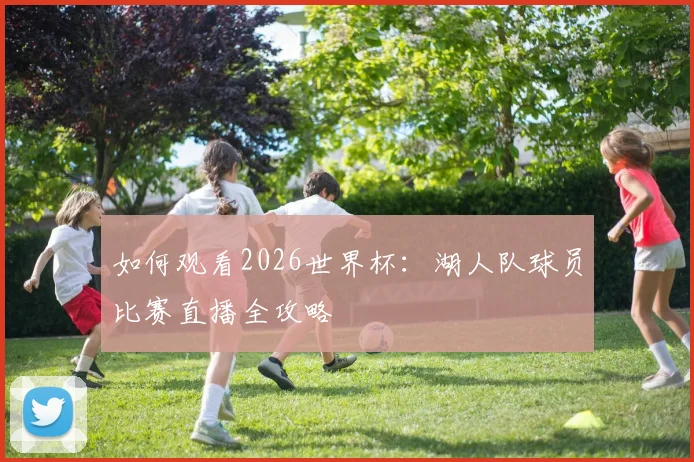 如何观看2026世界杯：湖人队球员比赛直播全攻略